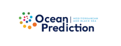 Relevance of Ocean Prediction in the Black Sea