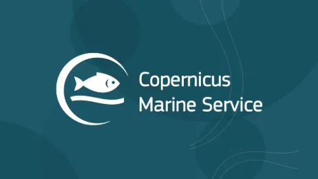 Copernicus Marine perspective